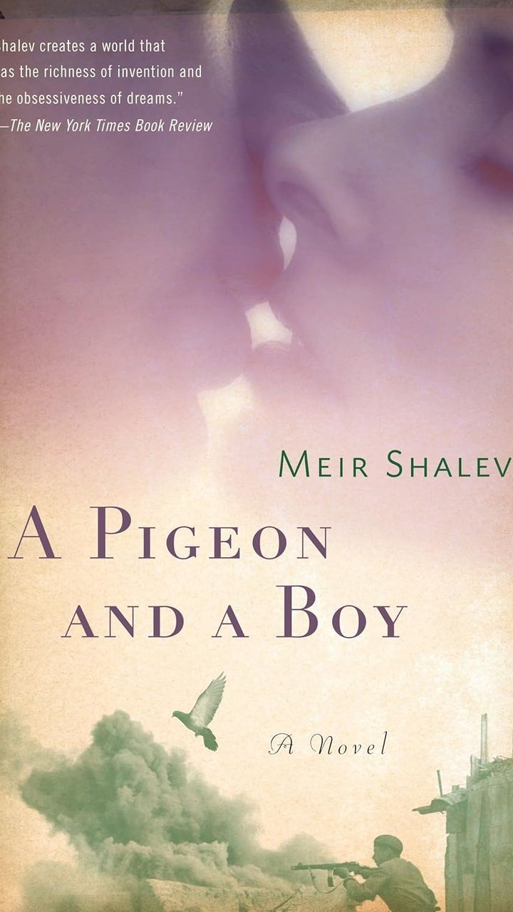 A Pigeon and a Boy