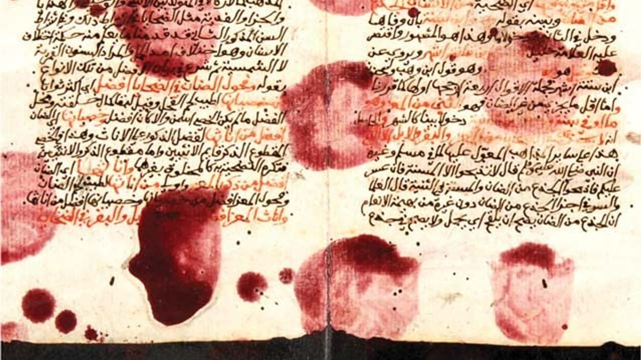 The Book of Collateral Damage