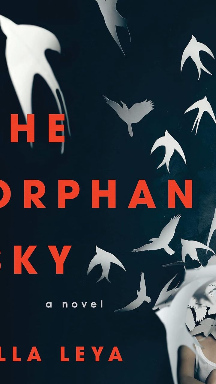 The Orphan Sky