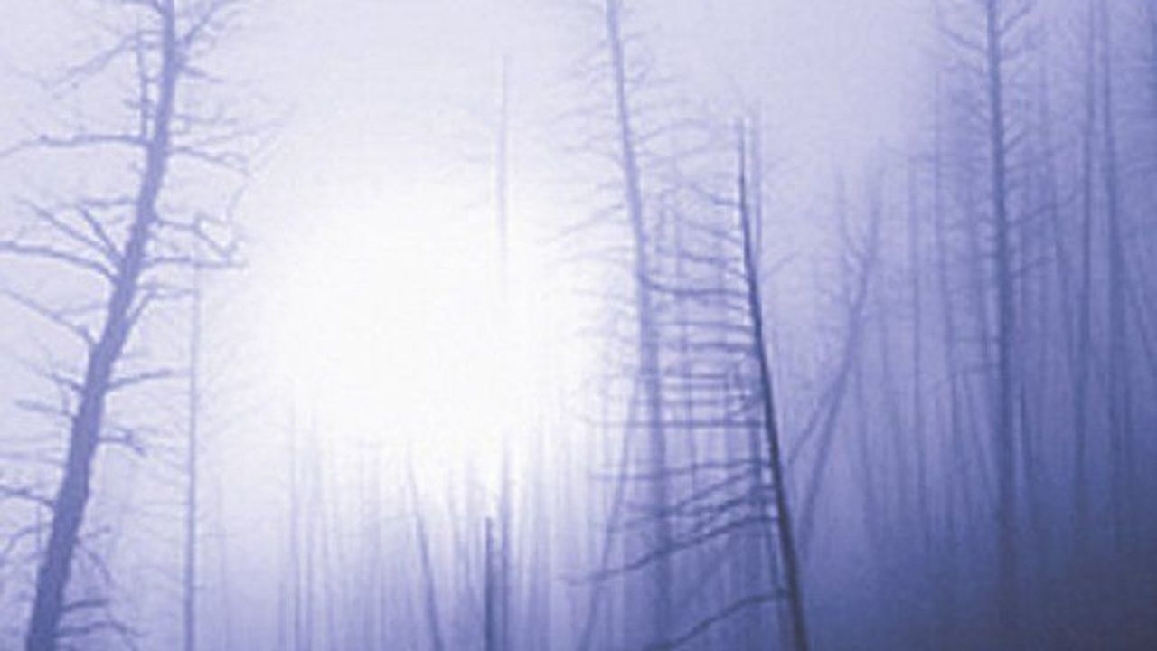 The Vampire of Ropraz