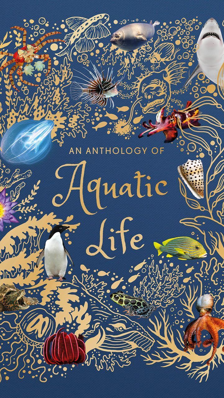 An Anthology of Aquatic Life (DK Children's Anthologies)