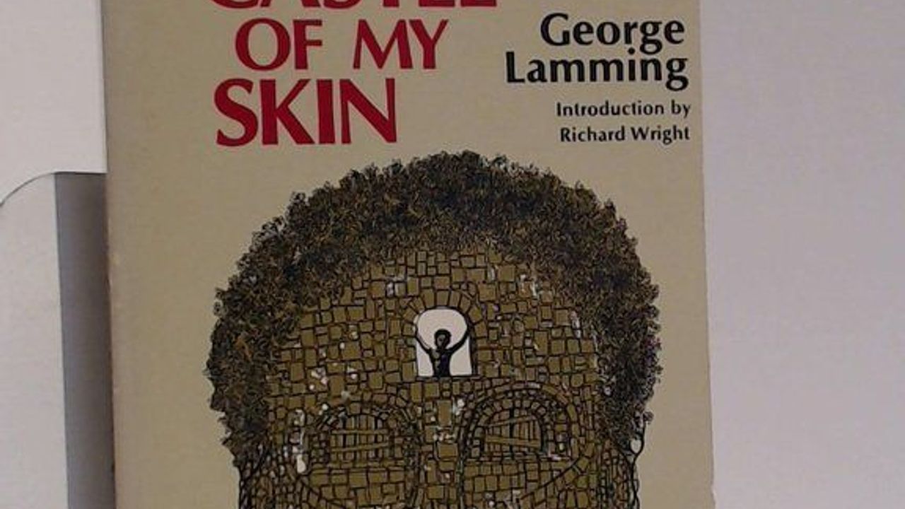 In the Castle of My Skin