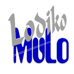 Lodiko Sodonyo logo