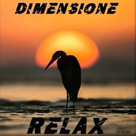 RADIO DIMENSIONE RELAX logo