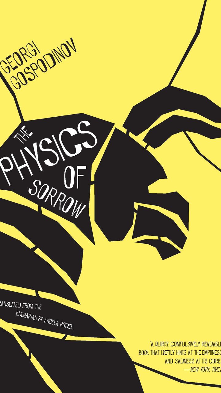 The Physics of Sorrow