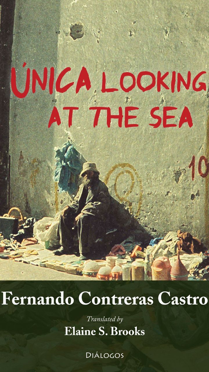 Unica Looking at the Sea